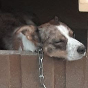 Meet your Posher, Shyanne